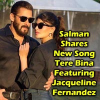 Salman Khan Shares New Song Tere Bina Featuring Jacqueline Fernandez