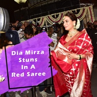 Dia Mirza Stuns In A Red Saree For Her Wedding With Vaibhav Rekhi
