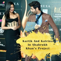 Kartik Aaryan And Katrina Kaif In Shahrukh Khans Project
